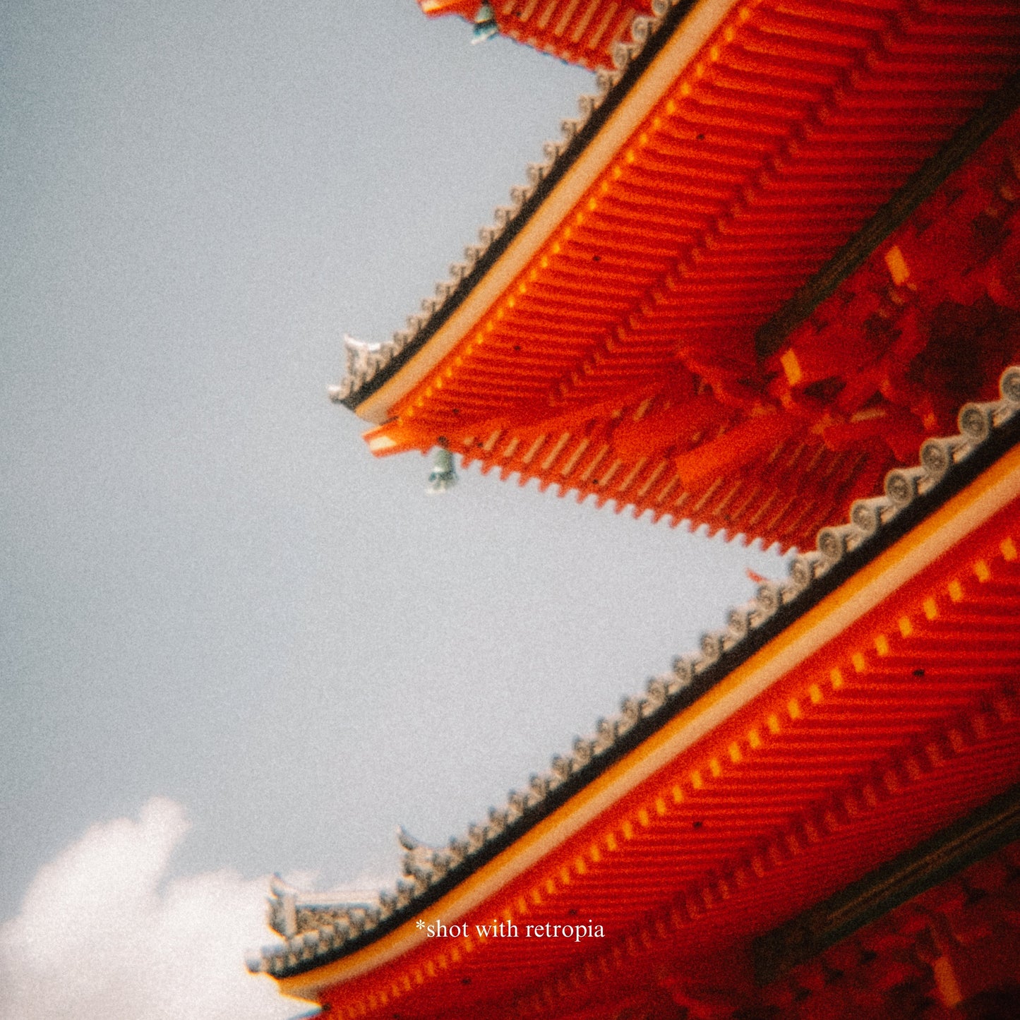 Retropia® Repurposed Disposable Film Camera Lens